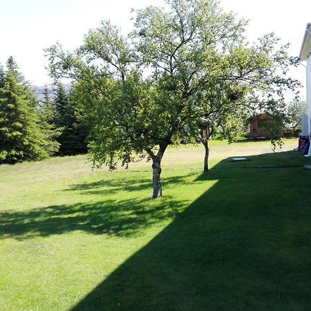 Hotel Stadarborg Breiddalsvik Екстер'єр фото